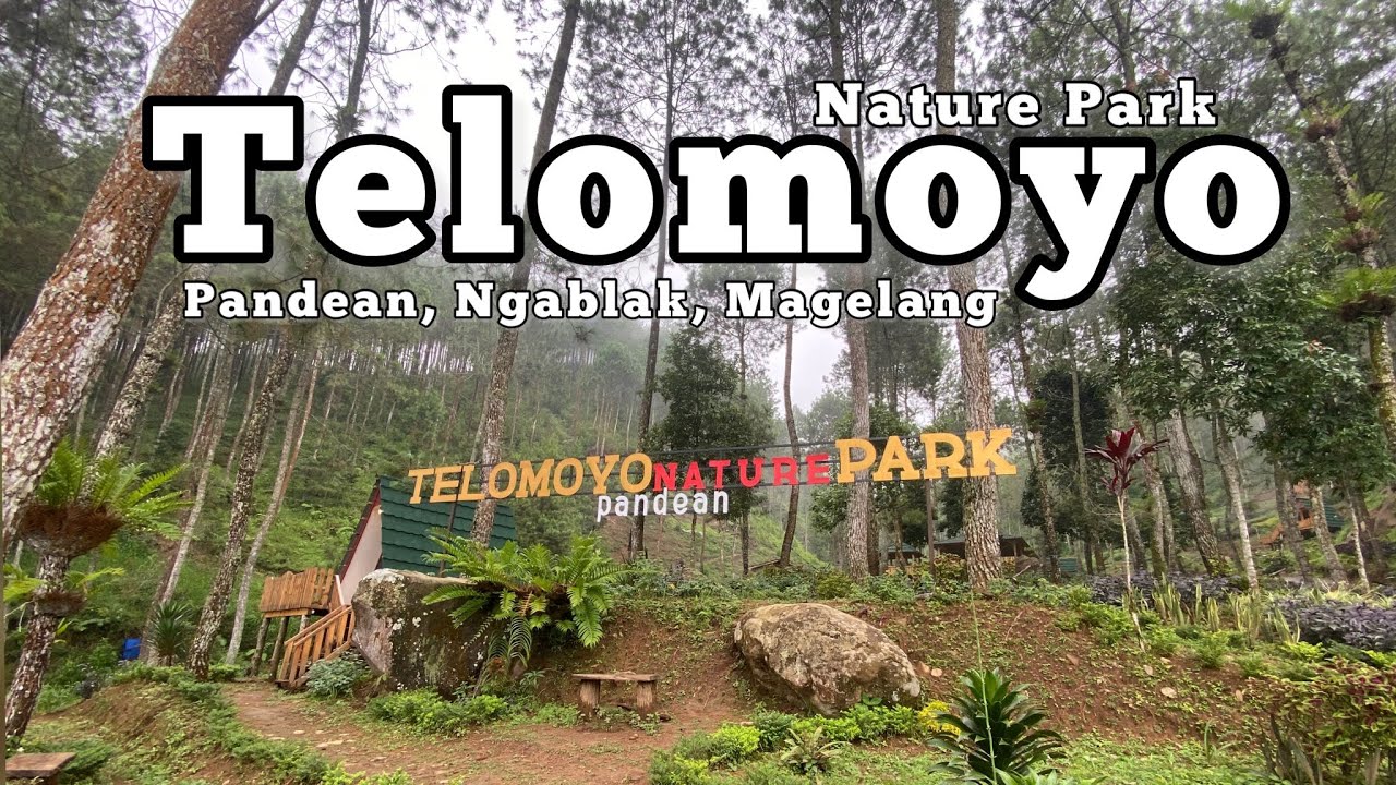 Telomoyo Nature Park: Menikmati Keindahan Alam di Lereng Gunung